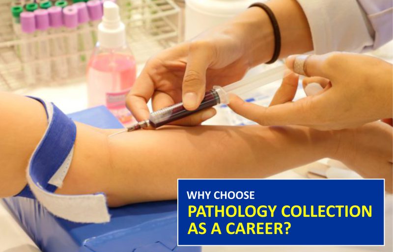 Why Choose Pathology Collection as a Career