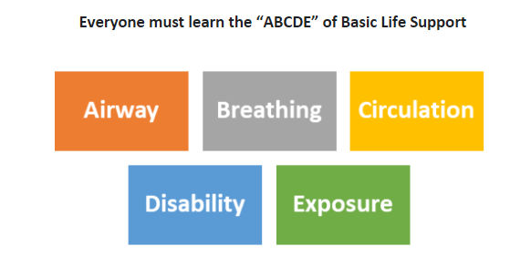 ABCE of Basic Life Support